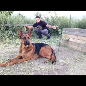 Meet your Posher, Mario